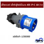 ปลั๊กพาวเวอร์ ปลั๊กตัวผู้สำหรับโรงงาน ABB 2P+E 16A 3 ขา