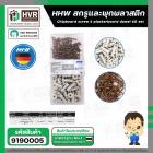 สกรูและพุกพลาสติก  HHW ( สกรู 4 x 30 mm. ) + ( เดือยพลาสติก 15 x 28 mm.) ( กล่อง 60 ชุด ) #20.100005